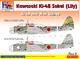 Kawasaki Ki-48 over New Guinea part 3 - 1/2