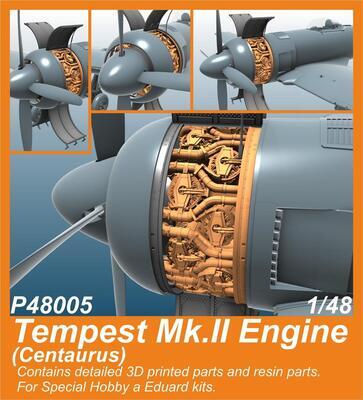 Tempest Mk.II Engine (Centaurus)