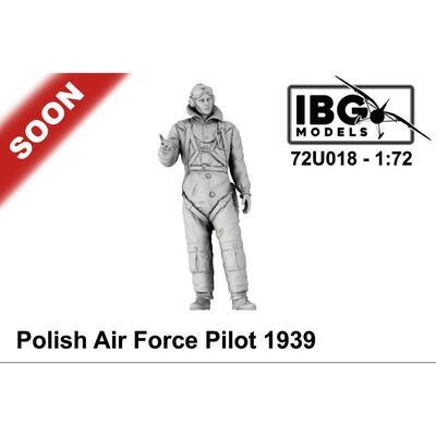 Polish Air Force Pilot 1939 (např. PZL P.11)