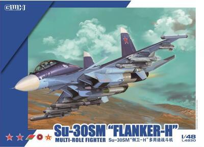 Su-30M Flanker H