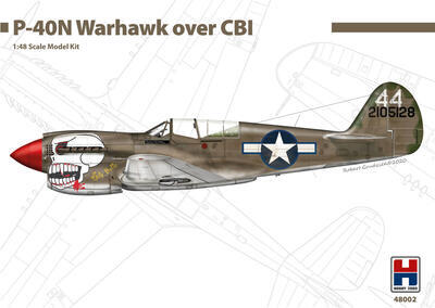P-40N Warhawk Aces over CBI