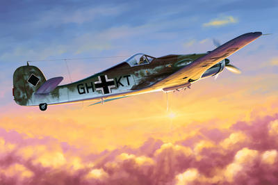 Fw-190D-10