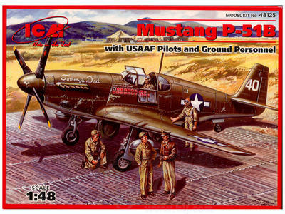 Mustang P-51B with USAAF Pilots and ground Personnel