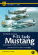 P-51 Mustang early version - 1/5