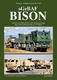 sGeBAF BISON
Heavy Protected Recovery Vehicle - 1/3