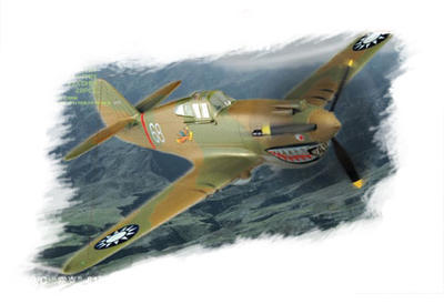 P-40B/C Hawk - 81