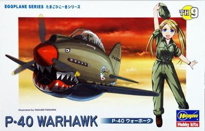 P-40 Warhawk Eggplane