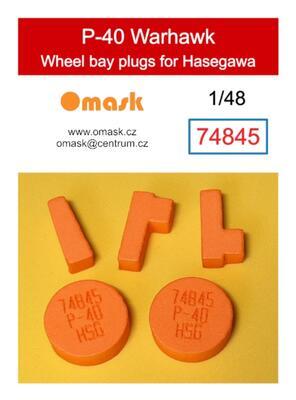 74845 1/48 P-40 Warhawk wheel bay plugs (for Hasegawa)
 - 1