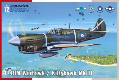 P-40M Warhawk 1/72