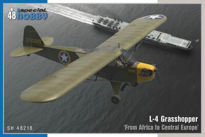 L-4 Grasshopper ‘From Africa to Central Europe’ 1/48 - 1