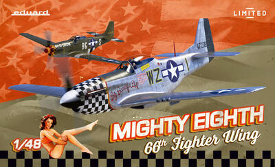 MIGHTY EIGHT:66th Fighter Wing