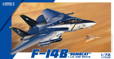 F-14B "Bombcat" 
