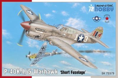 P-40K-1/5 Warhavk "Short Fuselage" - 1