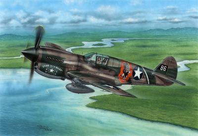P-40E Warhawk "Claws and Teeth"