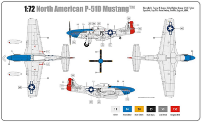 North American P51D Mustang - 2