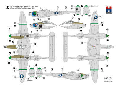 P-38L Lightning 80th Fighter Squadron - 2