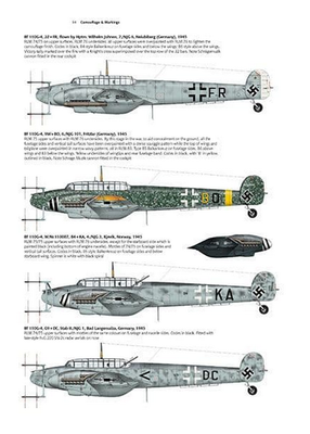 The Messerschmitt Bf 110 A Detailed Guide to the Luftwaffe's Famous Zerstörer - 3
