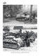 German Panzers and Allied Armour in Yugoslavia in WWII - 3/5