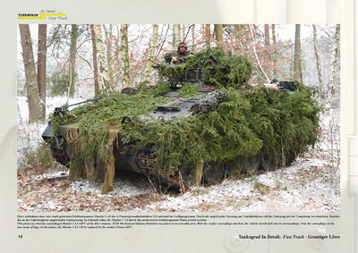Camouflage-Markings-Soldiers Grantiger Lowe - 3