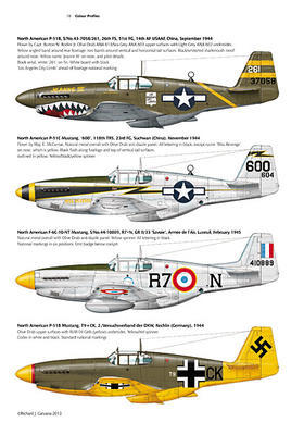 P-51 Mustang early version - 4
