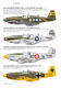 P-51 Mustang early version - 4/5