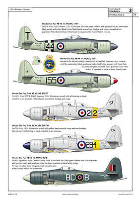Hawker Sea Fury - 5