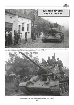 German Panzers and Allied Armour in Yugoslavia in WWII - 5