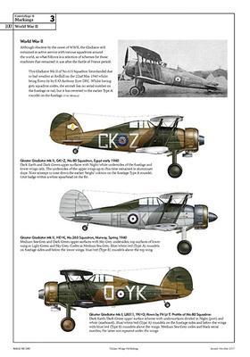 The Gloster Gladiator - 5