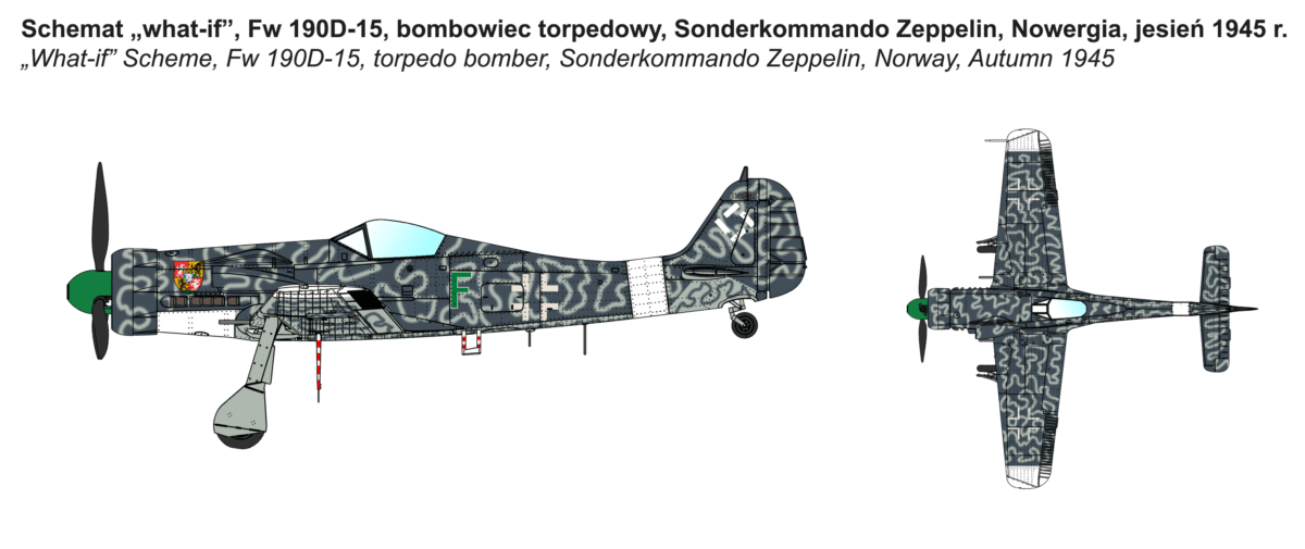  Fw 190D-15 Torpedo Bomber - foto 10a