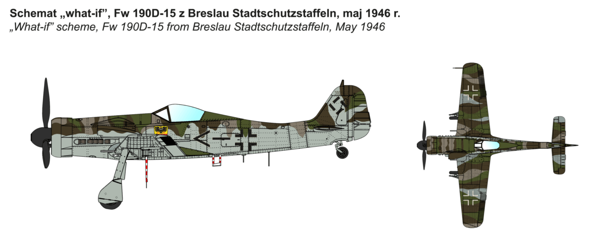 Fw 190D-15 Torpedo Bomber - foto 10c